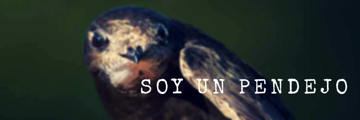 Vencejo_pendejo's profile banner image
