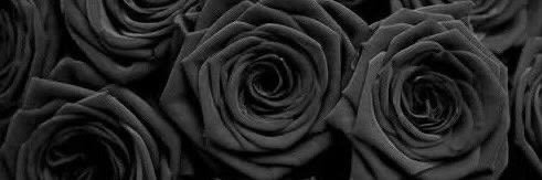 JforJaneDoe's profile banner image