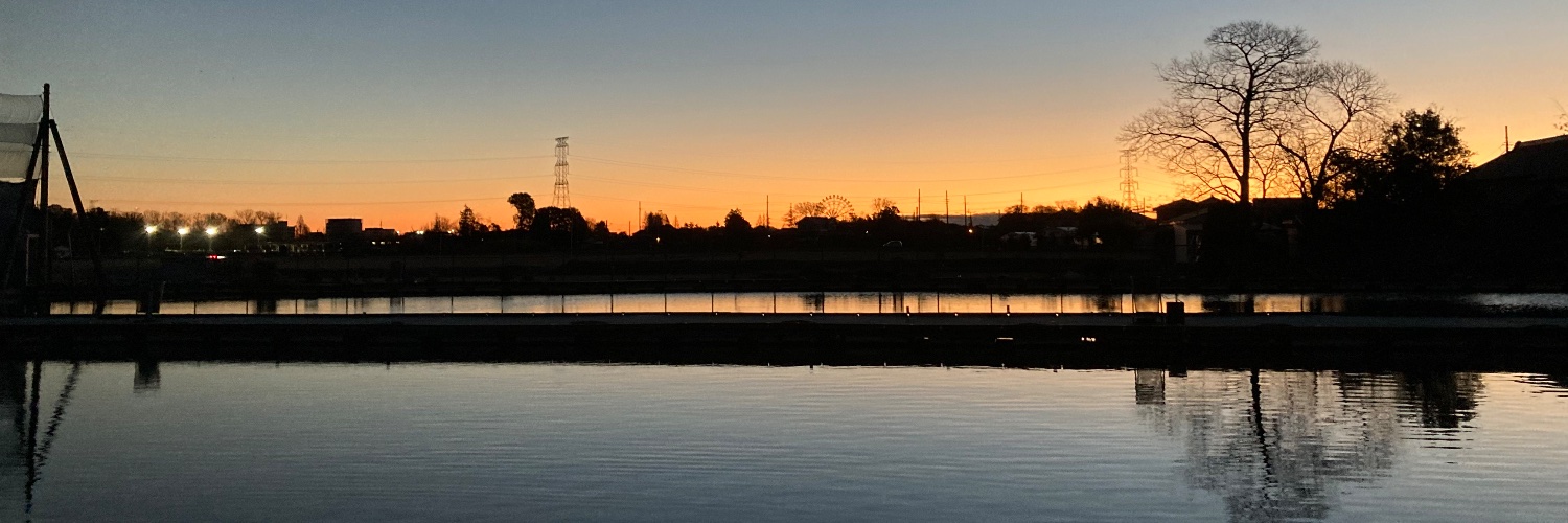 bluefins15's profile banner image