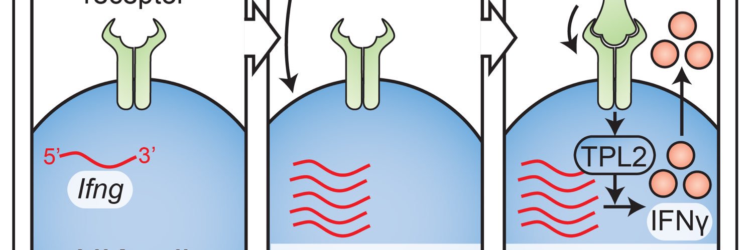 Sytse Piersma banner
