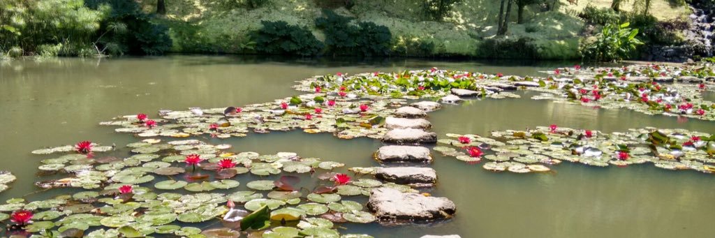 Raquel González banner