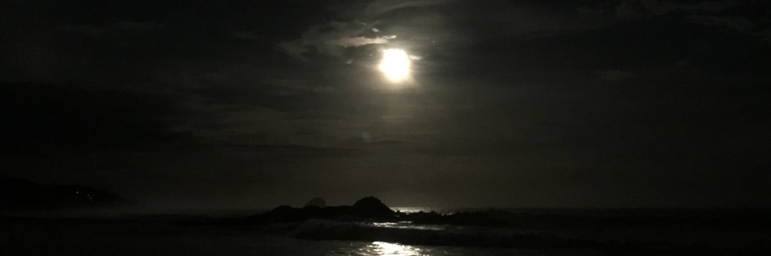 capriturno's profile banner image