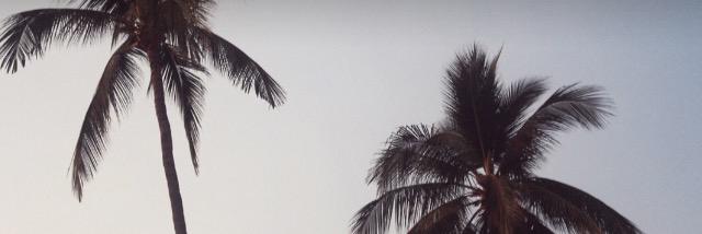 dimaabuAlshaar's profile banner image