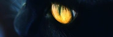 cbaretard's profile banner image