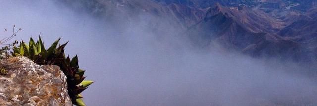 __Tan_'s profile banner image