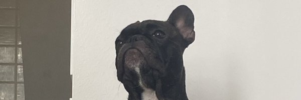 NoodleNatty Profile Banner