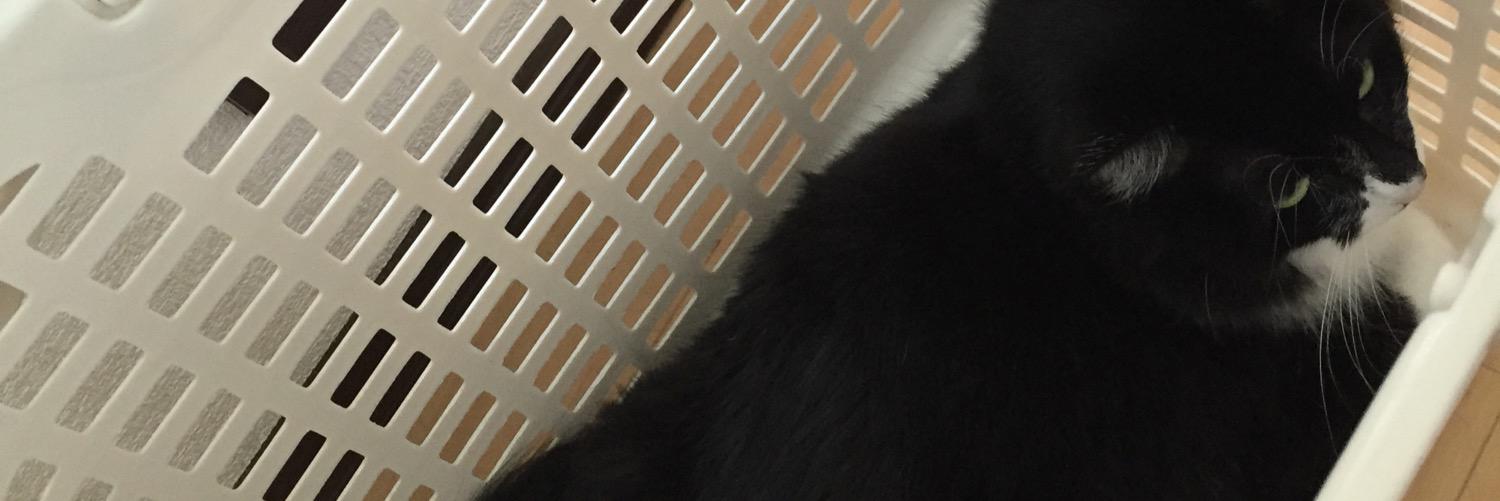 AS2mhnci's profile banner image