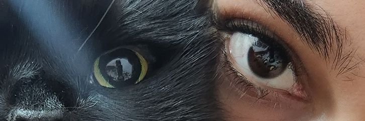 Fazina_'s profile banner image