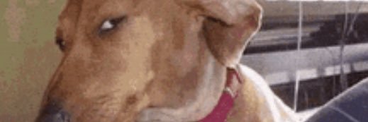 aaaeeyeh's profile banner image