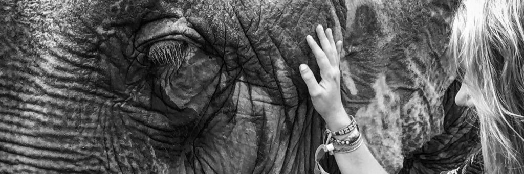 ellafarthing's profile banner image