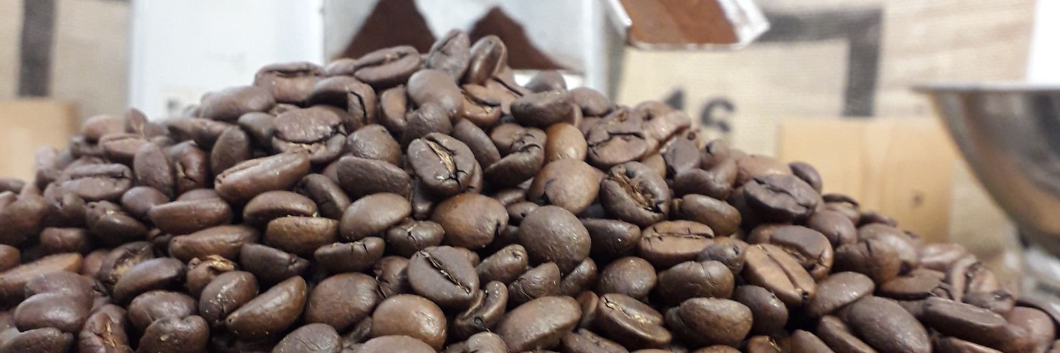 Dragonroastery banner