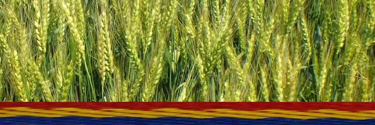 INCDAFundulea banner