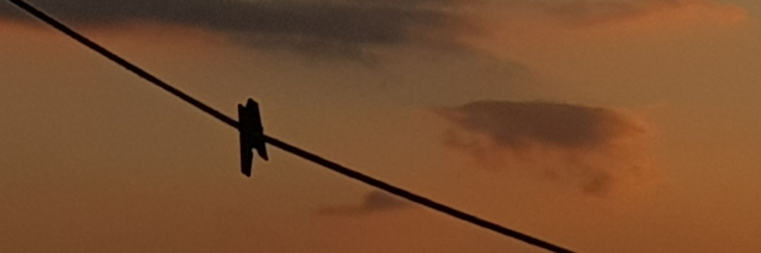 Danielaperezh's profile banner image
