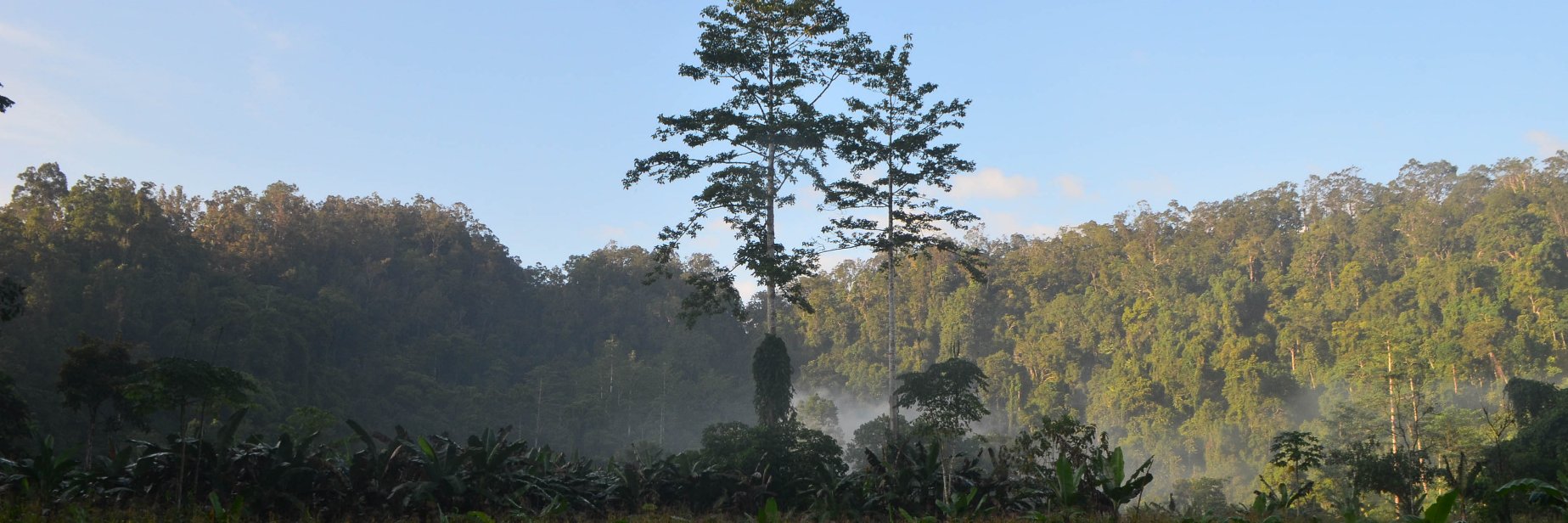 toybs / vic c 🍉 banner