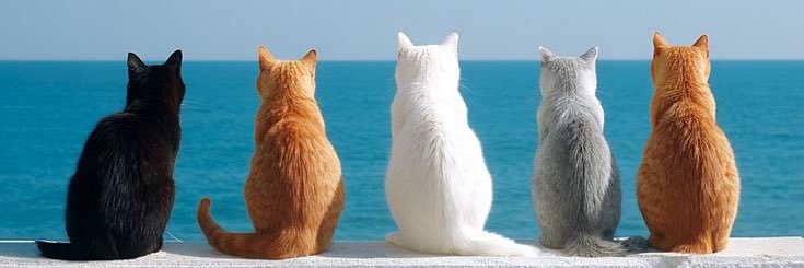 jasperreyagad's profile banner image