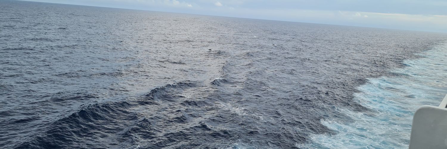 DEMOCRACIA SEMPRE banner