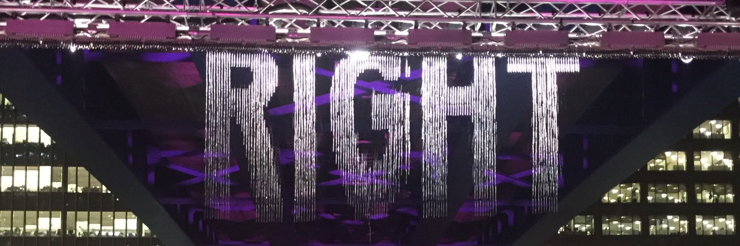 Lord Moylan's banner
