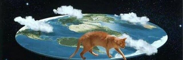 domokitty2013's profile banner image