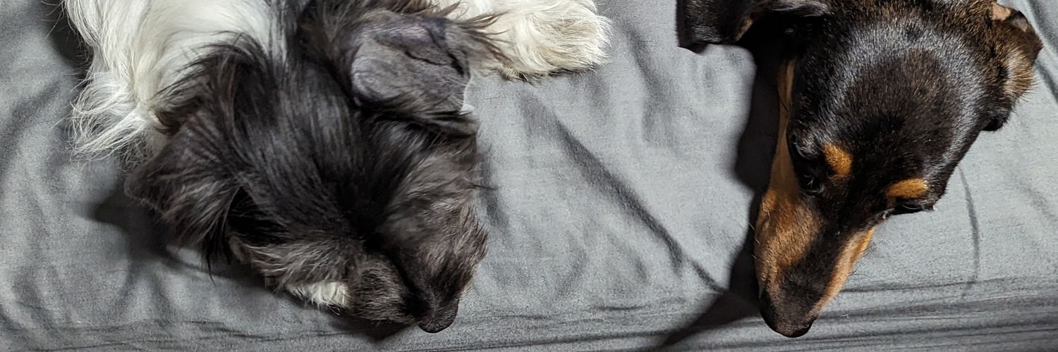 Uncle Ben's Rice banner