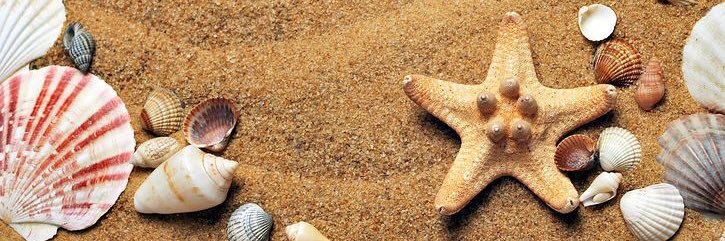 Business Education North Royalton HS banner