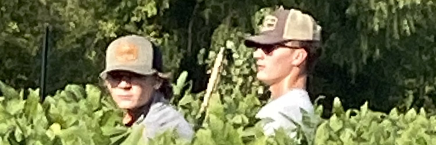 BugbeeTravis's profile banner image