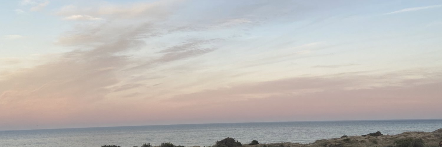 aandreajimnez's profile banner image
