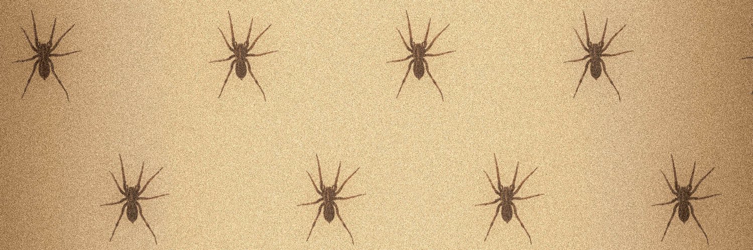 buggirlofficial's profile banner image
