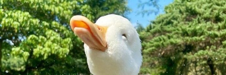 SaucissonNature banner