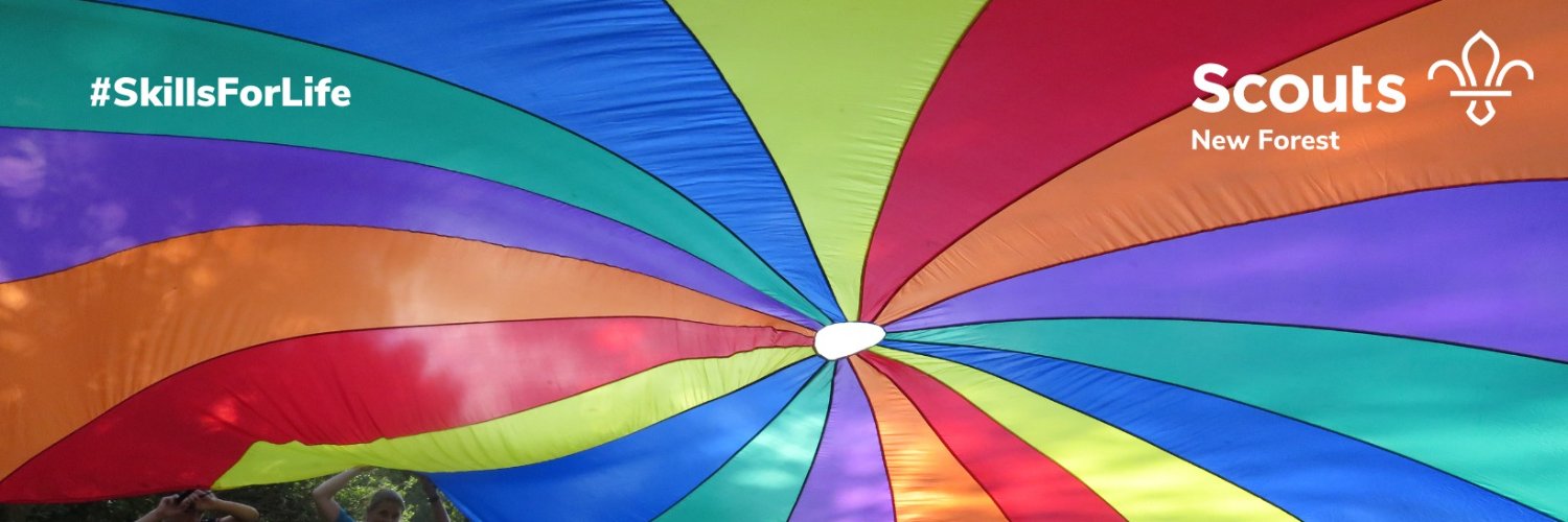 New Forest District Scouts banner