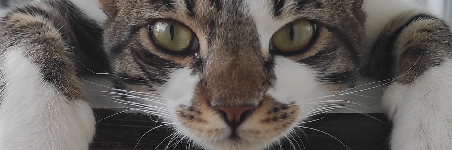omrbln's profile banner image