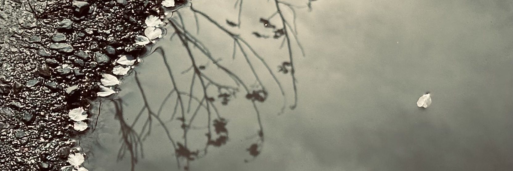 نعناس banner