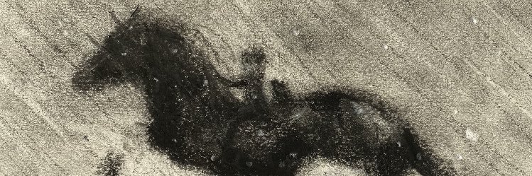 DebsFootbird's profile banner image