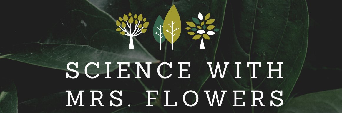 Savannah Flowers banner