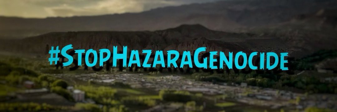 🌲Assad🌲 banner