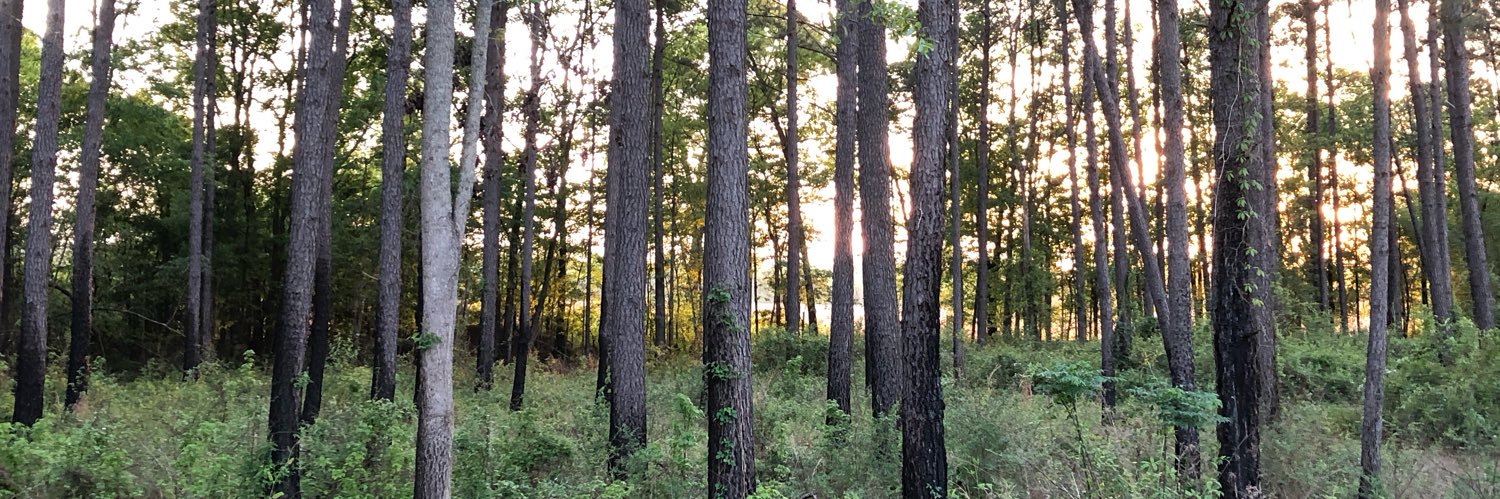 jimlanier01's profile banner image