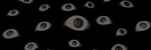 bone_grave Profile Banner