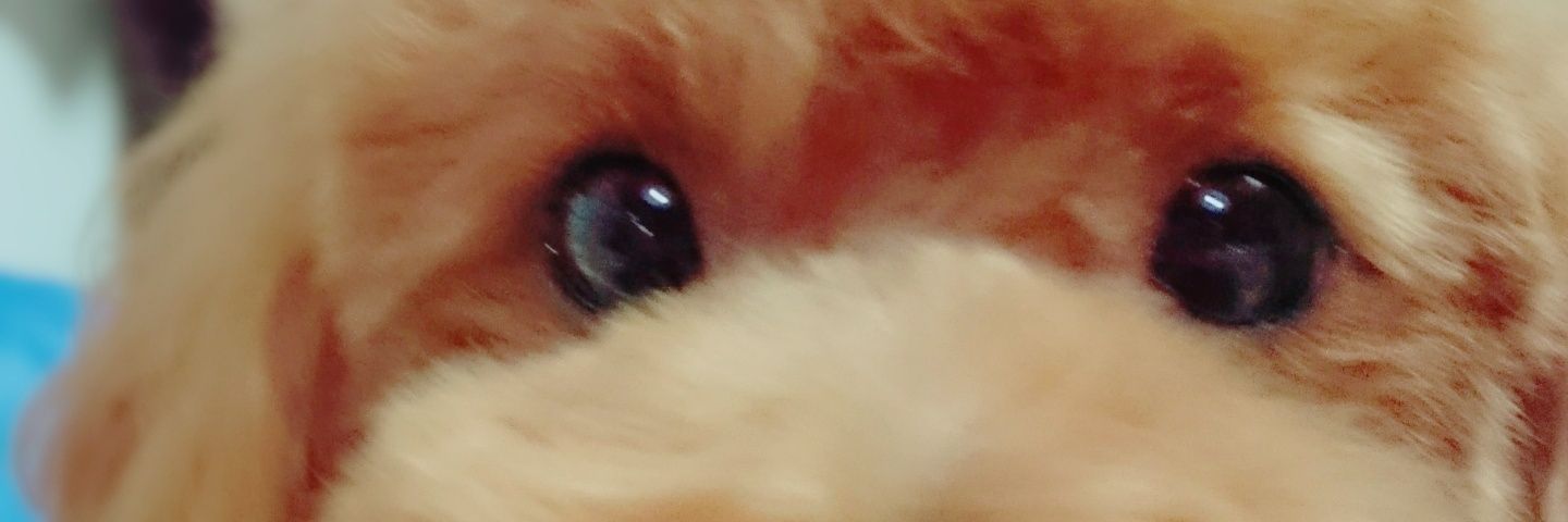 GamerRyoma's profile banner image