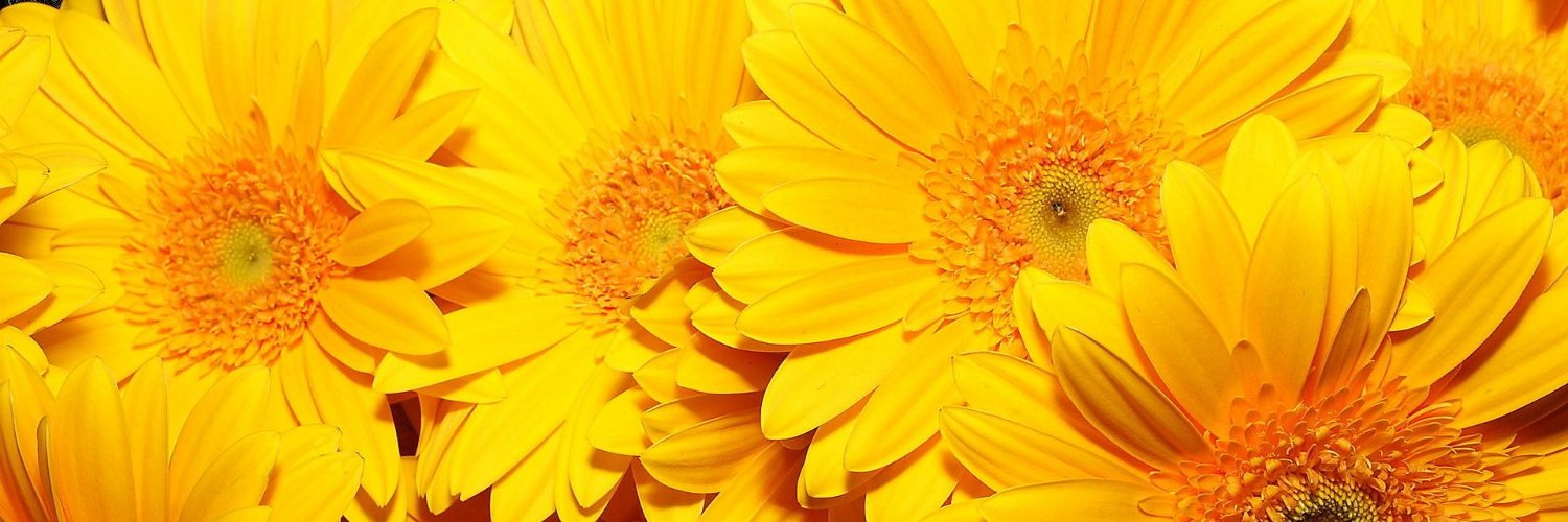caro_lista's profile banner image