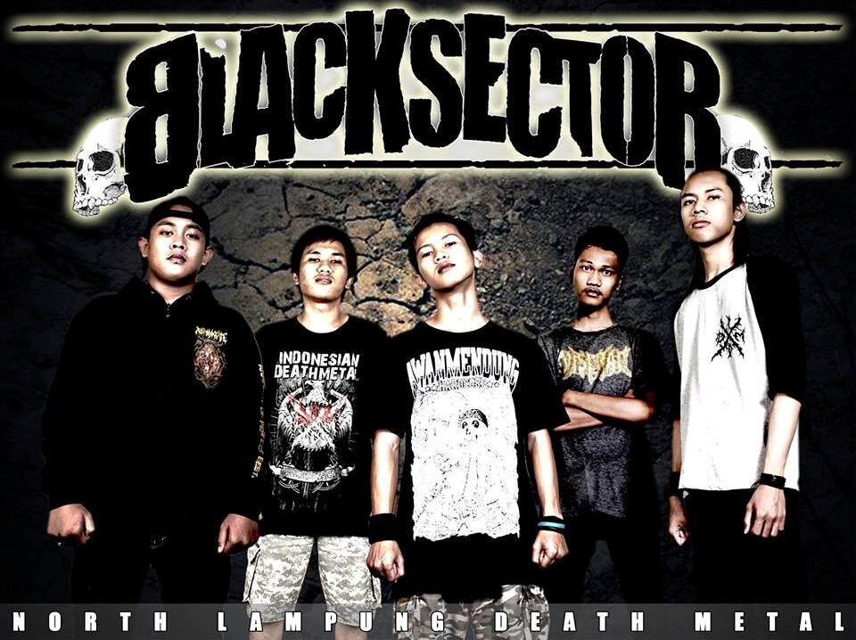 Black Sector - ID banner