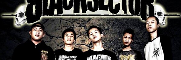 Blacksector_DM Profile Banner