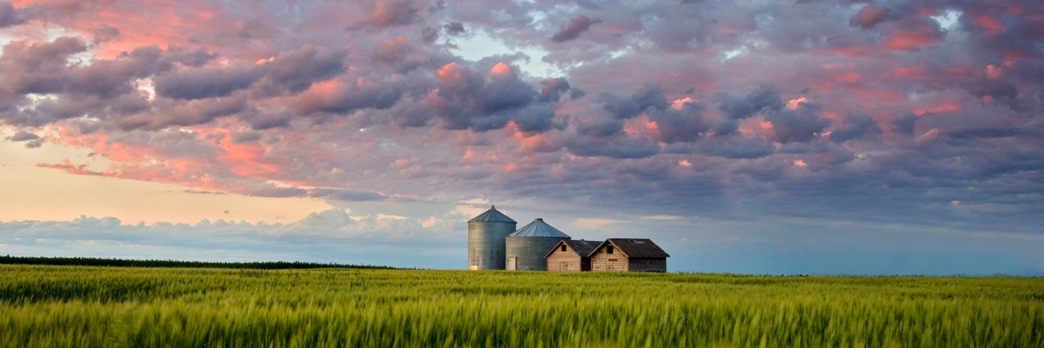 InsuranceInsMB's profile banner image