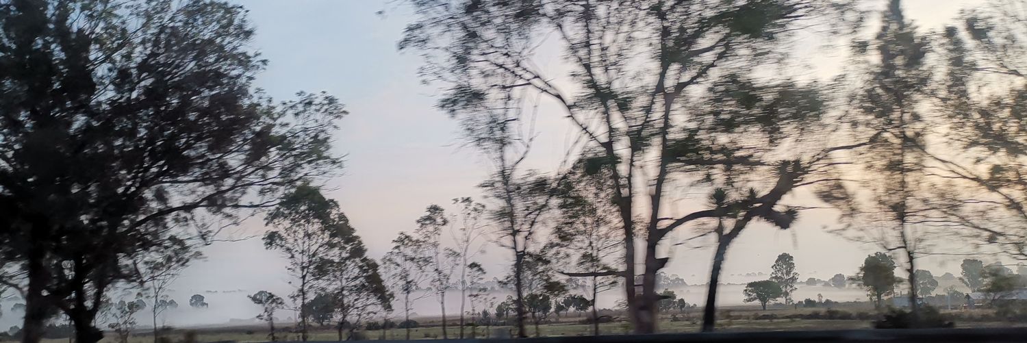 David_Pancho_'s profile banner image