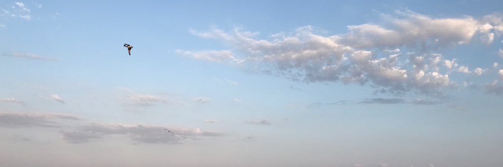 Gözde Erdoğan banner