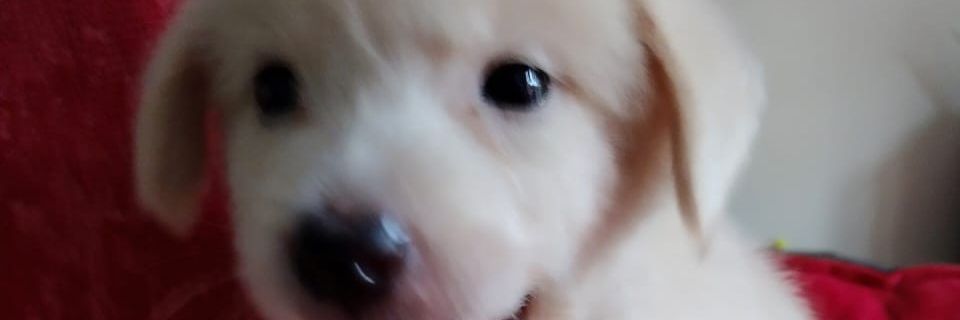karlosalbertom's profile banner image