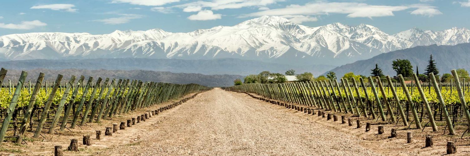 Iván Navarro banner