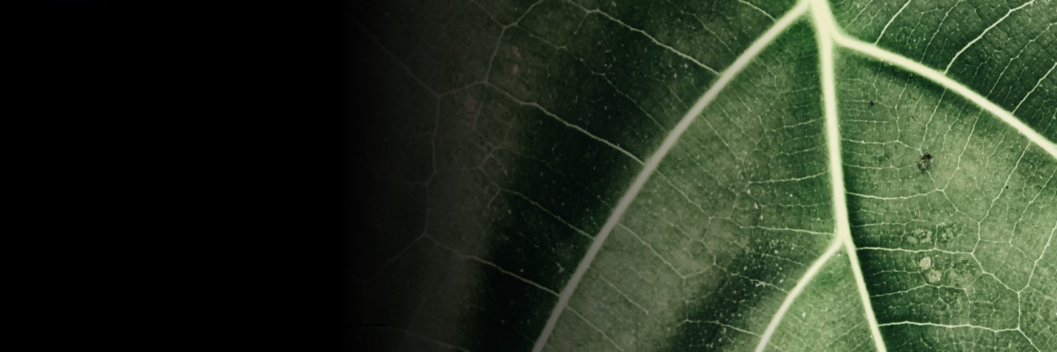immdesignlab's profile banner image