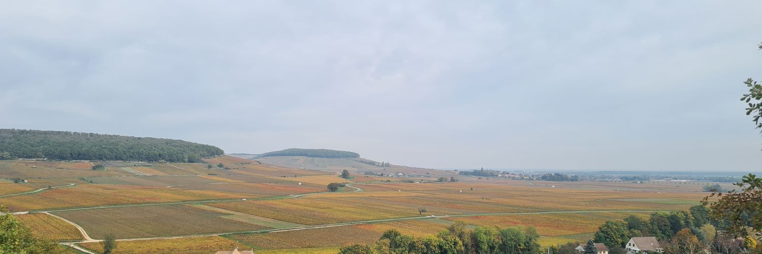 PolluxPetrus's profile banner image