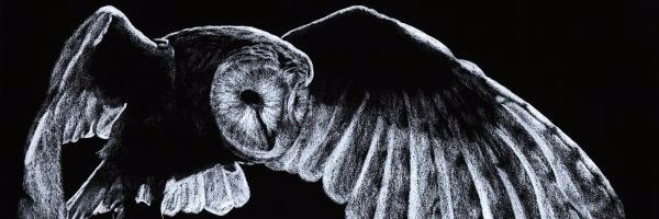 USLars's profile banner image