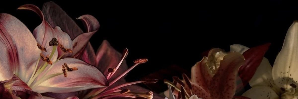 dltirp's profile banner image