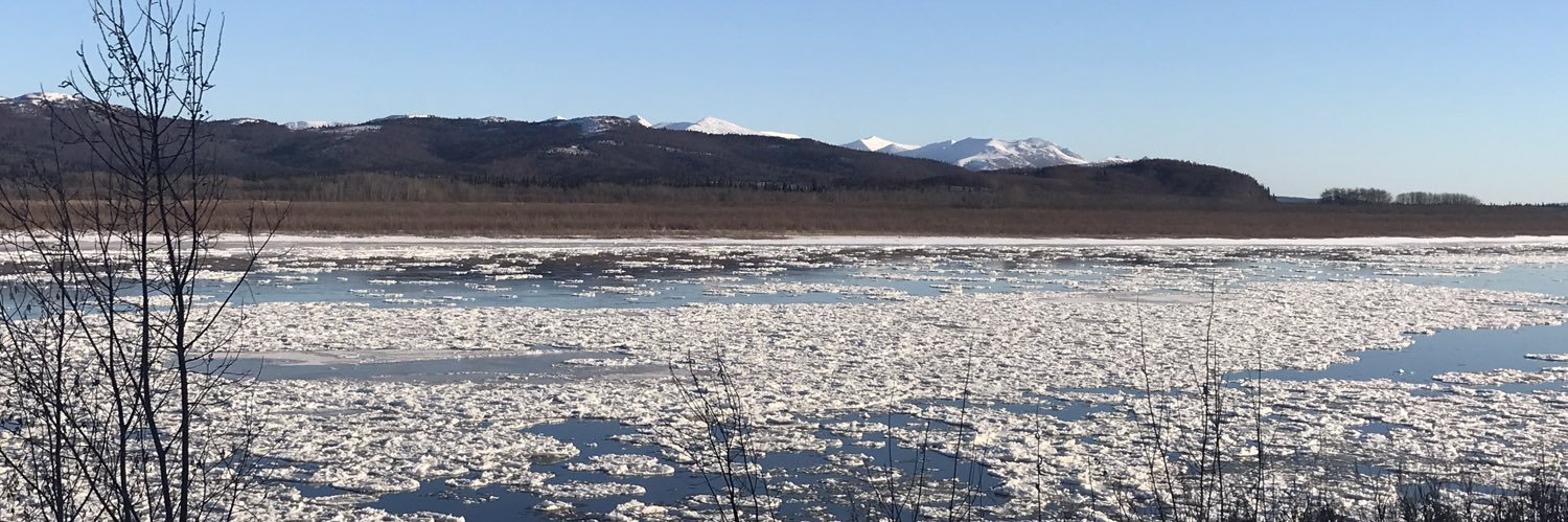 AlaskaEm's profile banner image